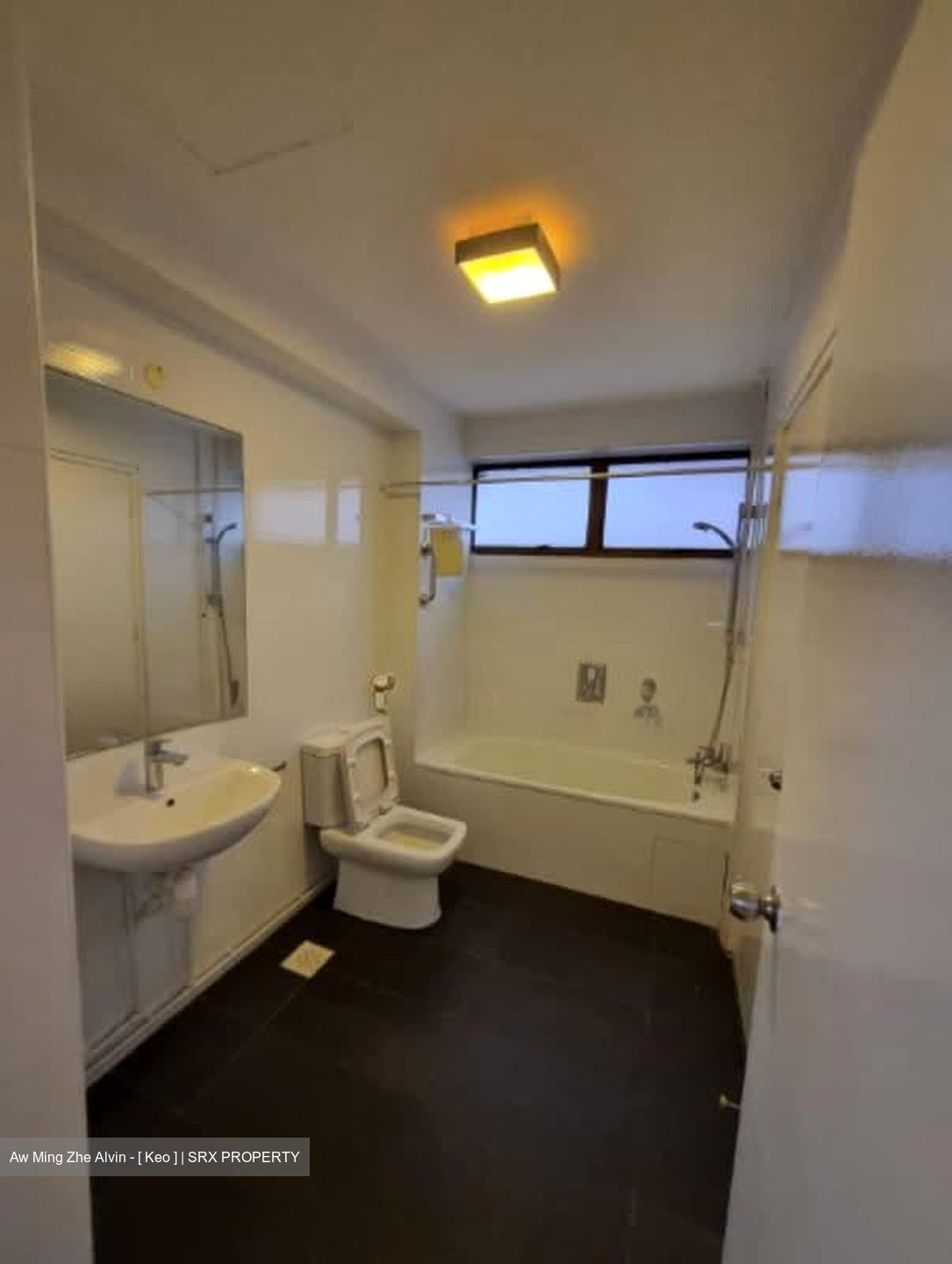 The Cairnhill (D9), Condominium #584422291